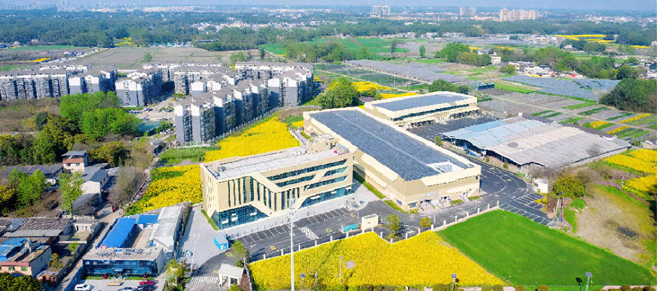 園區(qū)實際效果圖